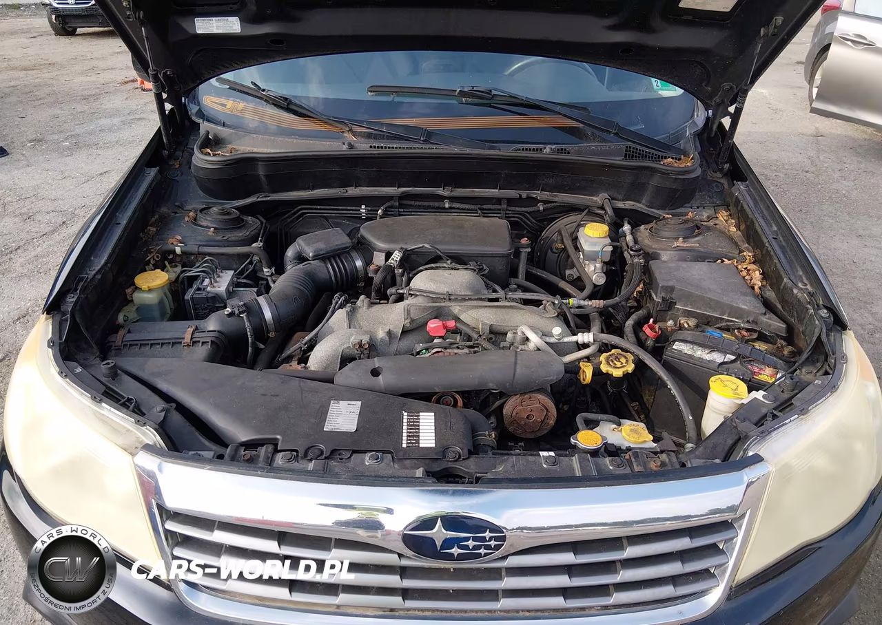 2010 Subaru Forester 2.5X Premium VIN:JF2SH6CC5AH754736 - 10