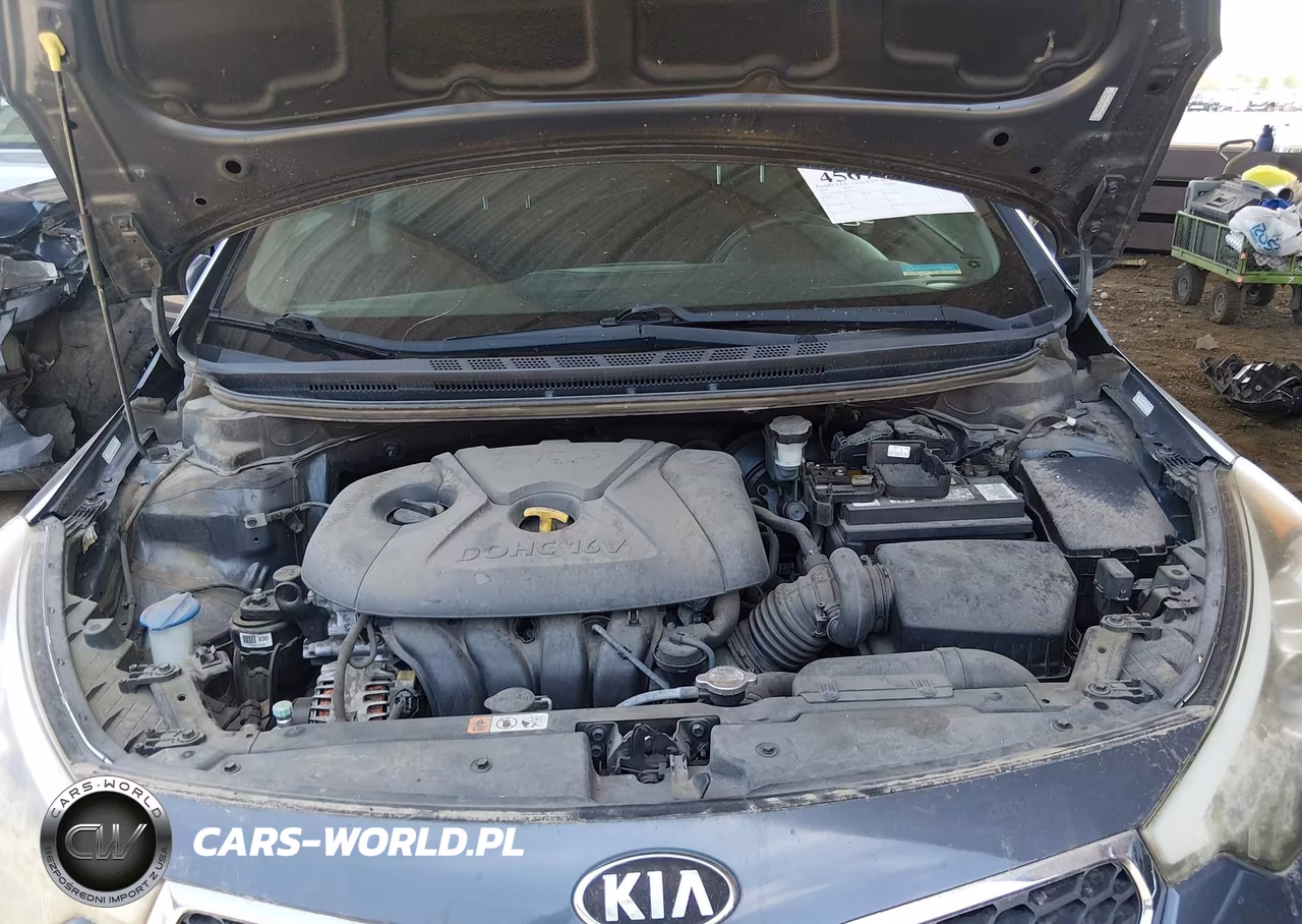 2014 Kia Forte Lx VIN:KNAFK4A6XE5070515 - 10