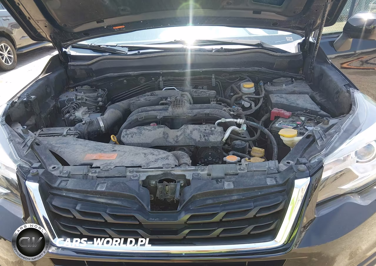 2018 Subaru Forester 2.5I Premium VIN:JF2SJAGC5JH549645 - 10