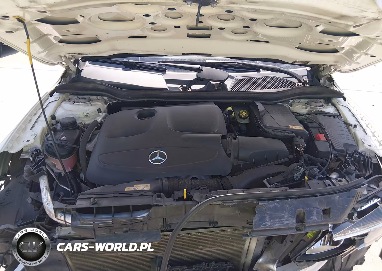 2015 Mercedes-Benz Gla 250 VIN:WDCTG4EB8FJ183610 - 10