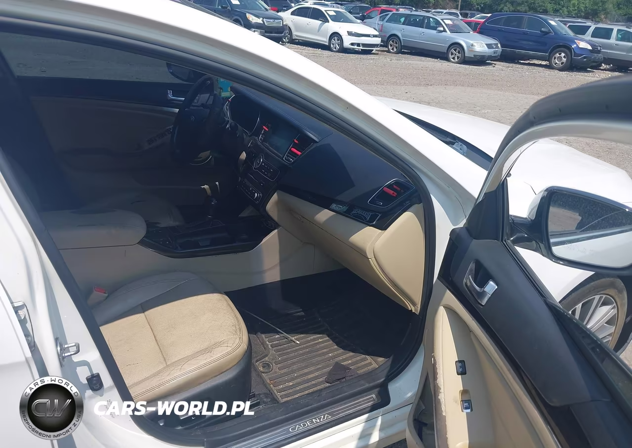 2014 Kia Cadenza Premium VIN:KNALN4D70E5143440 - 5
