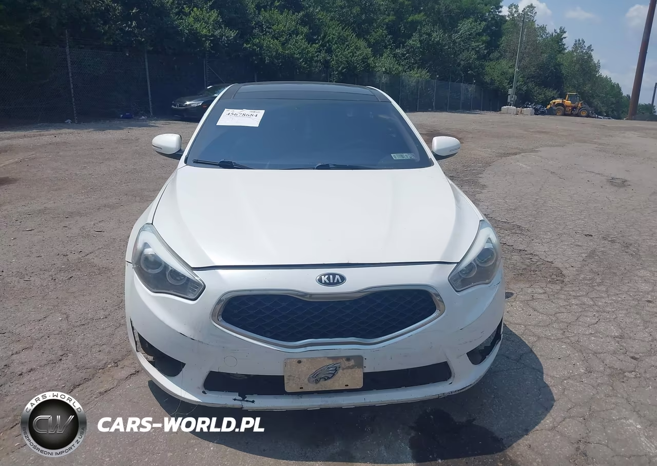 2014 Kia Cadenza Premium VIN:KNALN4D70E5143440 - 6