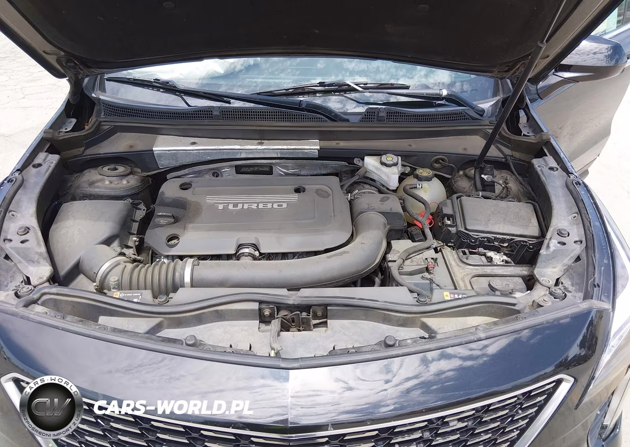 2019 Cadillac Xt4 Luxury VIN:1GYAZAR4XKF155669 - 10