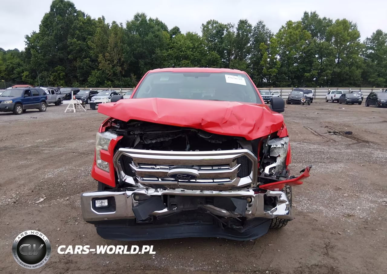 2015 Ford F-150 Xlt VIN:1FTEW1EF4FFB13706 - 12