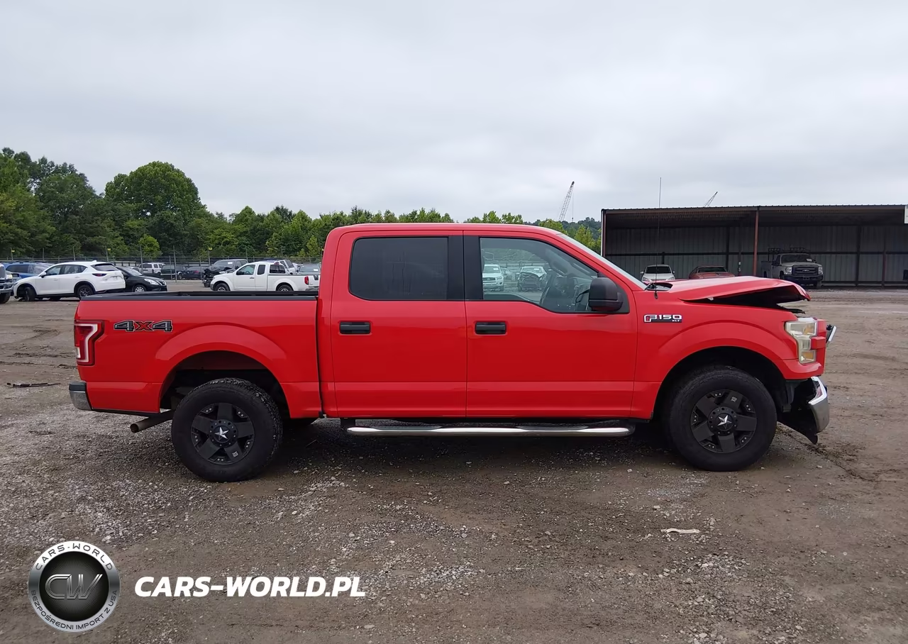 2015 Ford F-150 Xlt VIN:1FTEW1EF4FFB13706 - 13