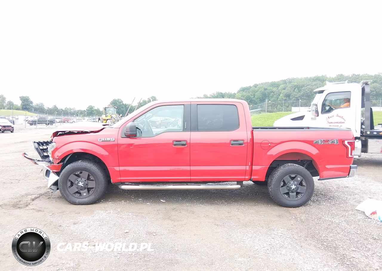 2015 Ford F-150 Xlt VIN:1FTEW1EF4FFB13706 - 14