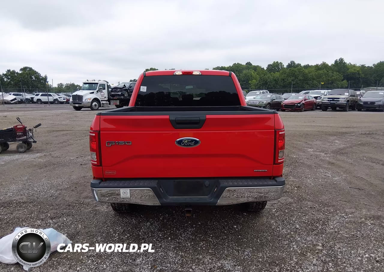2015 Ford F-150 Xlt VIN:1FTEW1EF4FFB13706 - 16