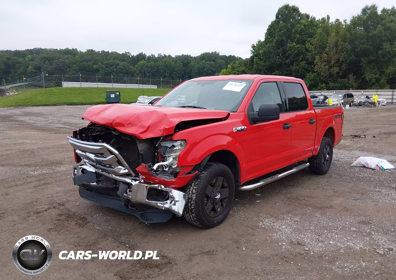 2015 Ford F-150 Xlt VIN:1FTEW1EF4FFB13706 - 2