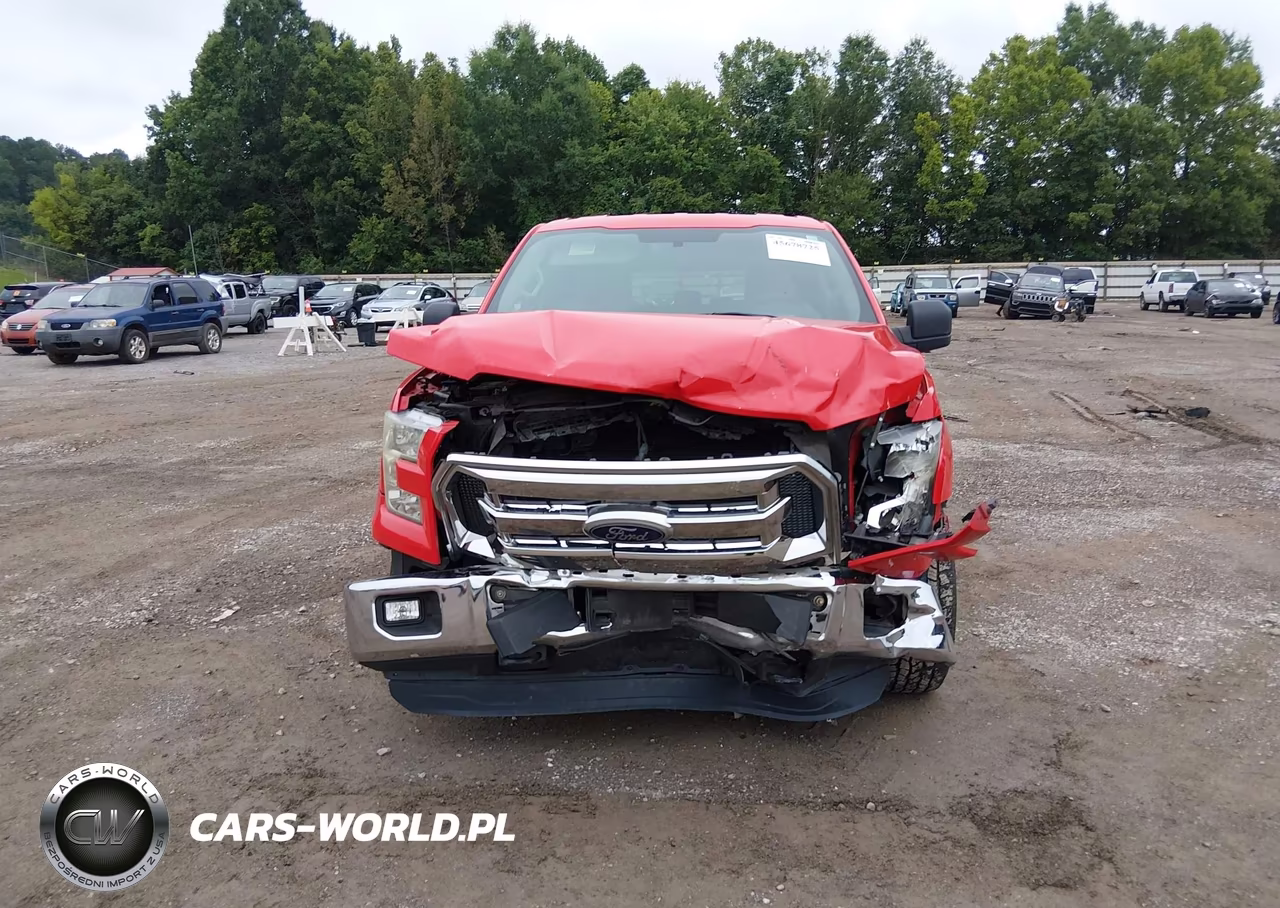 2015 Ford F-150 Xlt VIN:1FTEW1EF4FFB13706 - 6