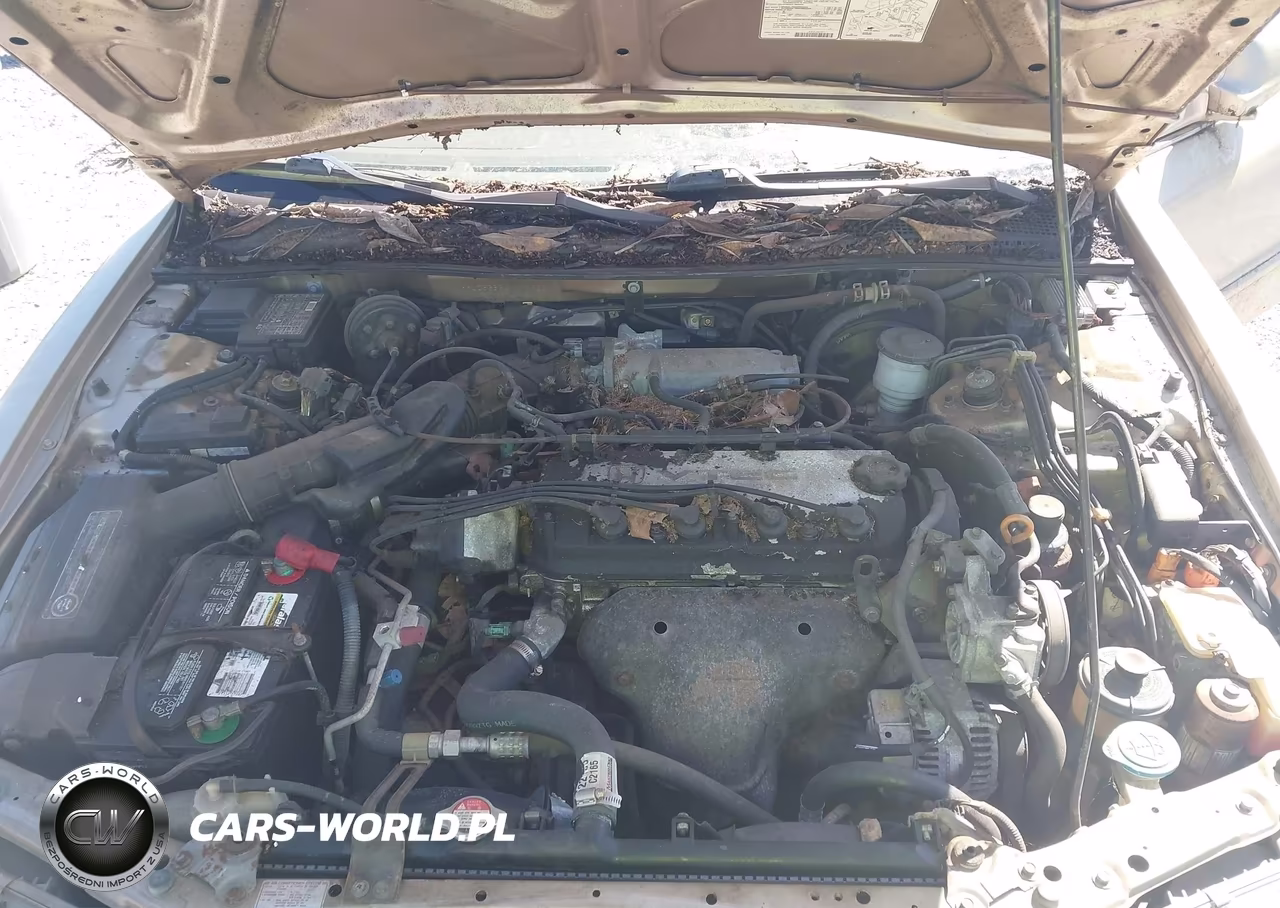 1994 Honda Accord Ex-Ex-R VIN:1HGCD5655RA019833 - 10