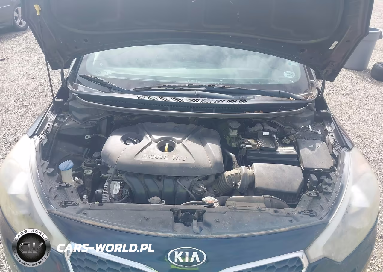 2016 Kia Forte Lx VIN:KNAFK4A6XG5472604 - 10