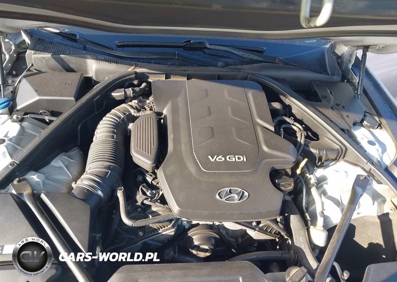 2016 Hyundai Genesis 3.8 VIN:KMHGN4JE2GU113254 - 10