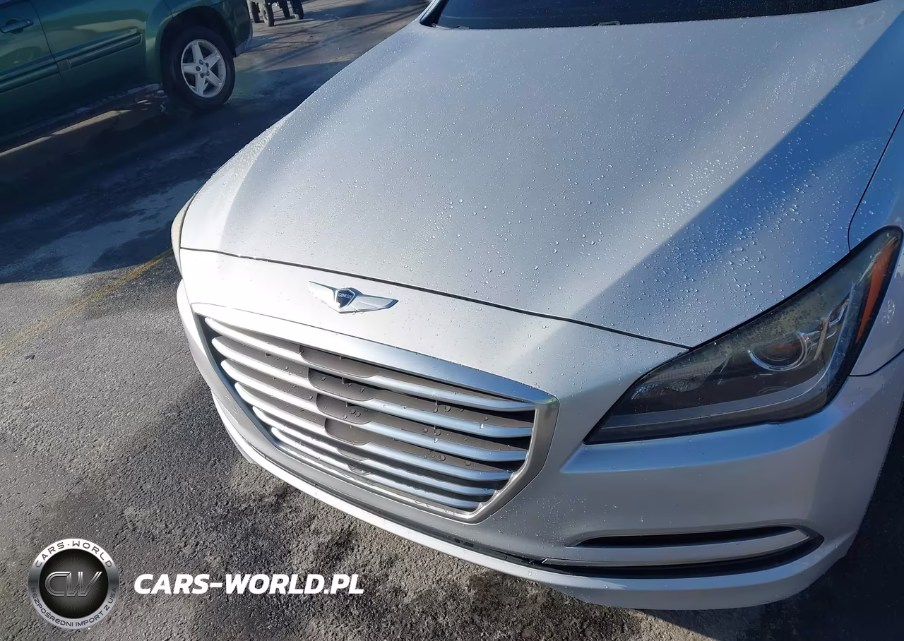 2016 Hyundai Genesis 3.8 VIN:KMHGN4JE2GU113254 - 6