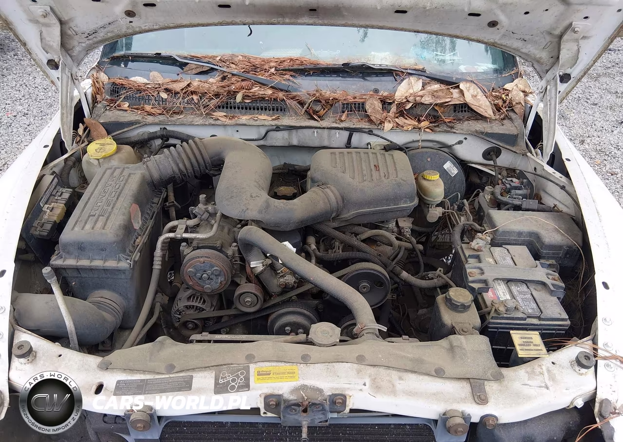 1998 Dodge Dakota Sport VIN:1B7FL26P7WS563996 - 10