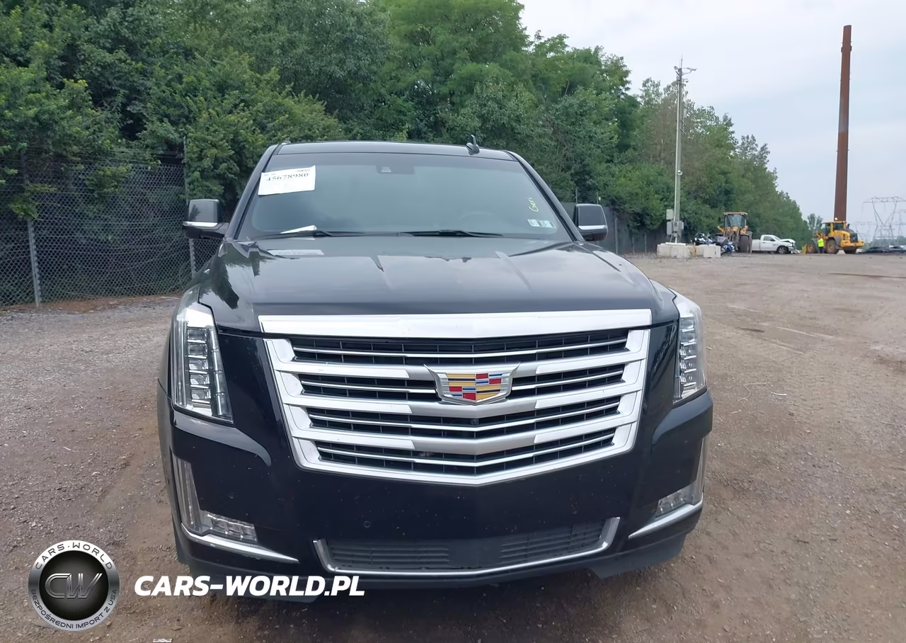 2017 Cadillac Escalade Esv Platinum VIN:1GYS4KKJ1HR271469 - 13