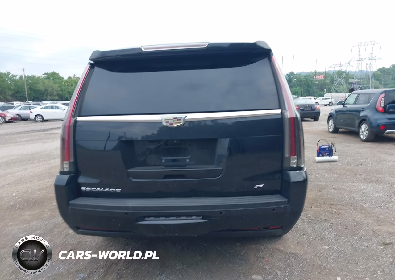 2017 Cadillac Escalade Esv Platinum VIN:1GYS4KKJ1HR271469 - 17
