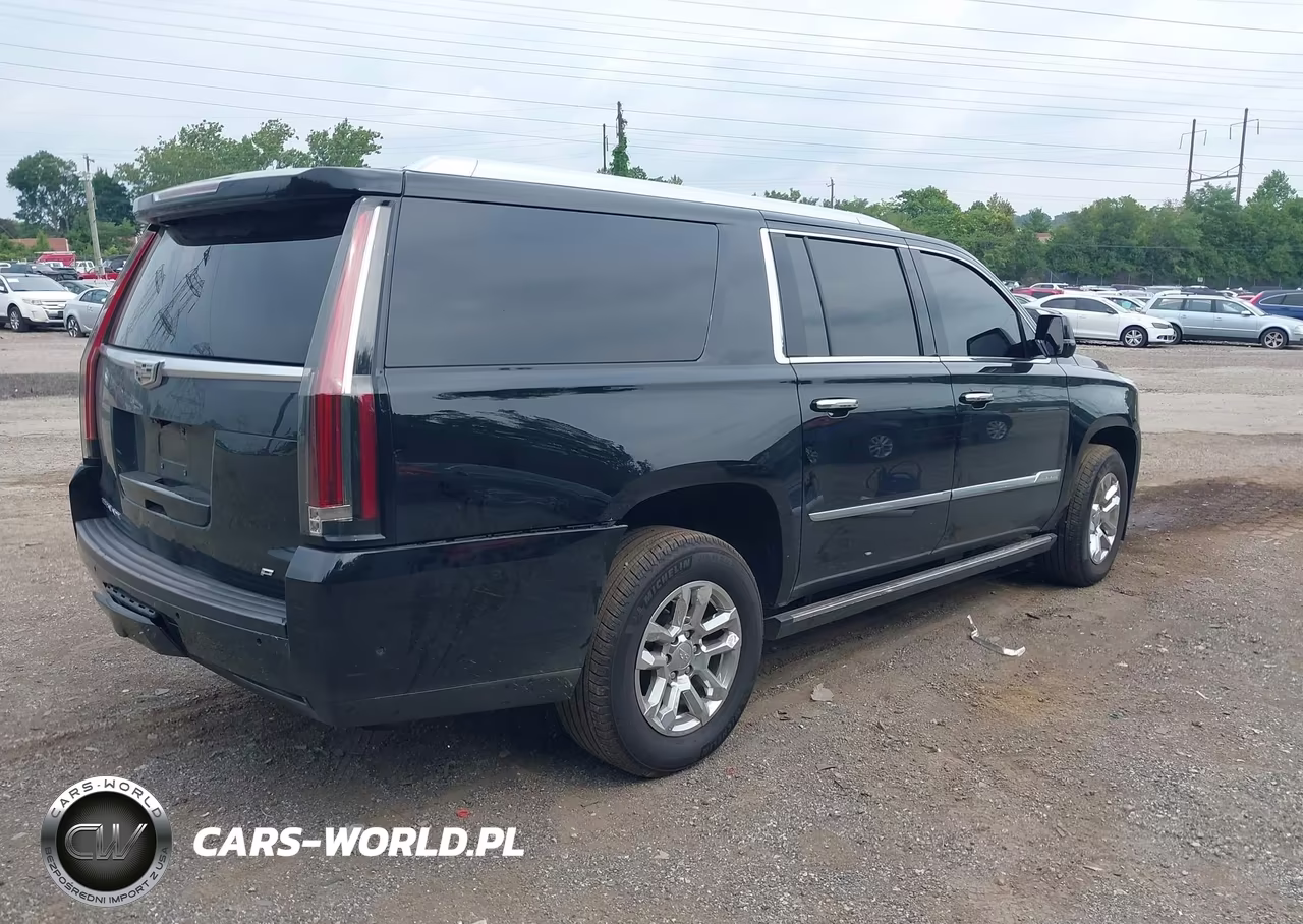 2017 Cadillac Escalade Esv Platinum VIN:1GYS4KKJ1HR271469 - 4