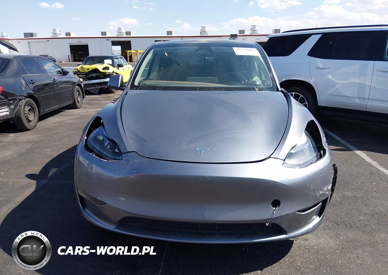 2024 Tesla Model Y Long Range Dual Motor All-Wheel Drive VIN:7SAYGAEEXRF204685 - 12
