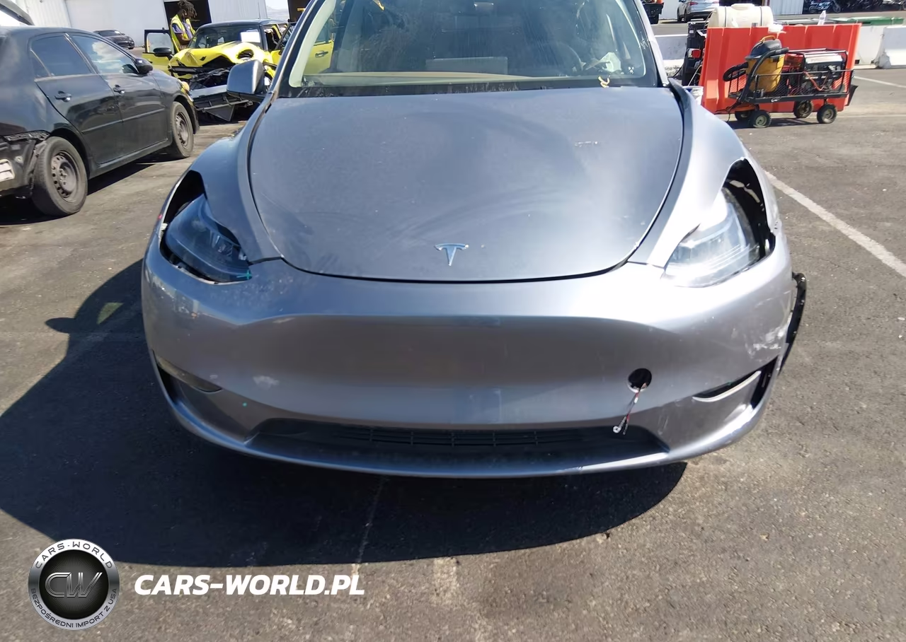 2024 Tesla Model Y Long Range Dual Motor All-Wheel Drive VIN:7SAYGAEEXRF204685 - 19