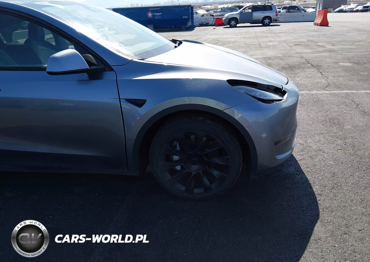 2024 Tesla Model Y Long Range Dual Motor All-Wheel Drive VIN:7SAYGAEEXRF204685 - 20