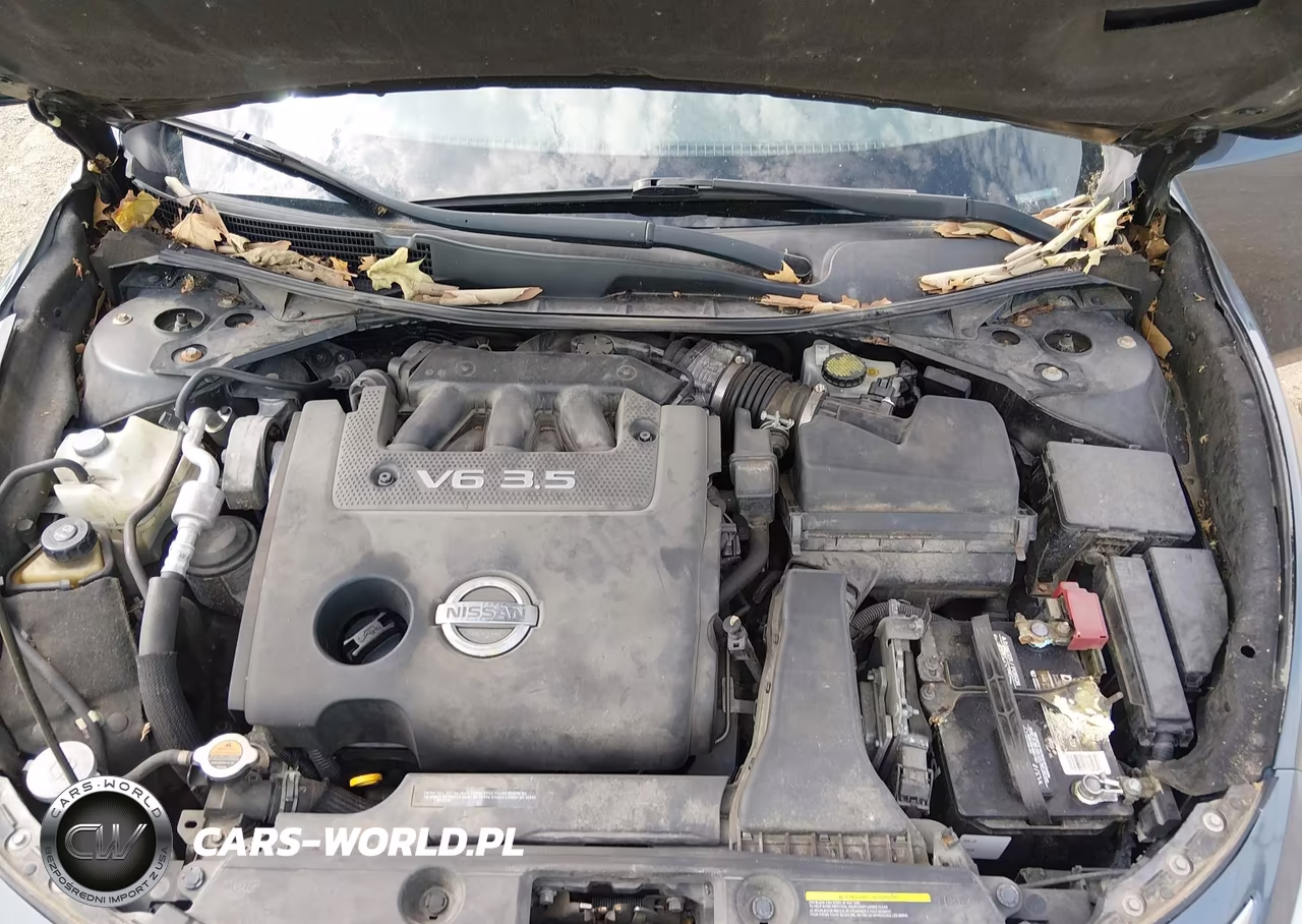 2013 Nissan Altima 3.5 Sv VIN:1N4BL3AP7DC107425 - 10