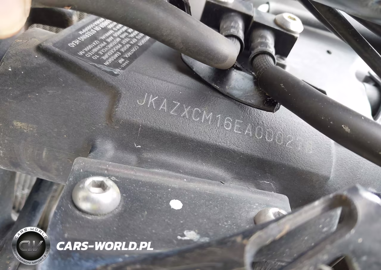 2014 Kawasaki Zx1000 M VIN:JKAZXCM16EA000278 - 10