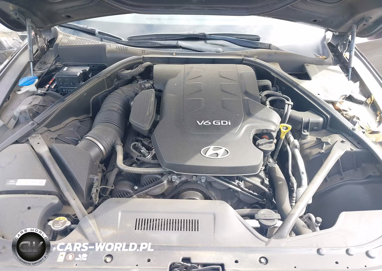 2015 Hyundai Genesis 3.8 VIN:KMHGN4JE0FU047141 - 10