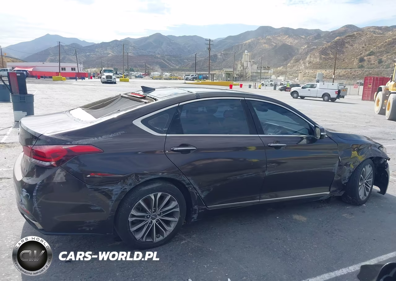 2015 Hyundai Genesis 3.8 VIN:KMHGN4JE0FU047141 - 13