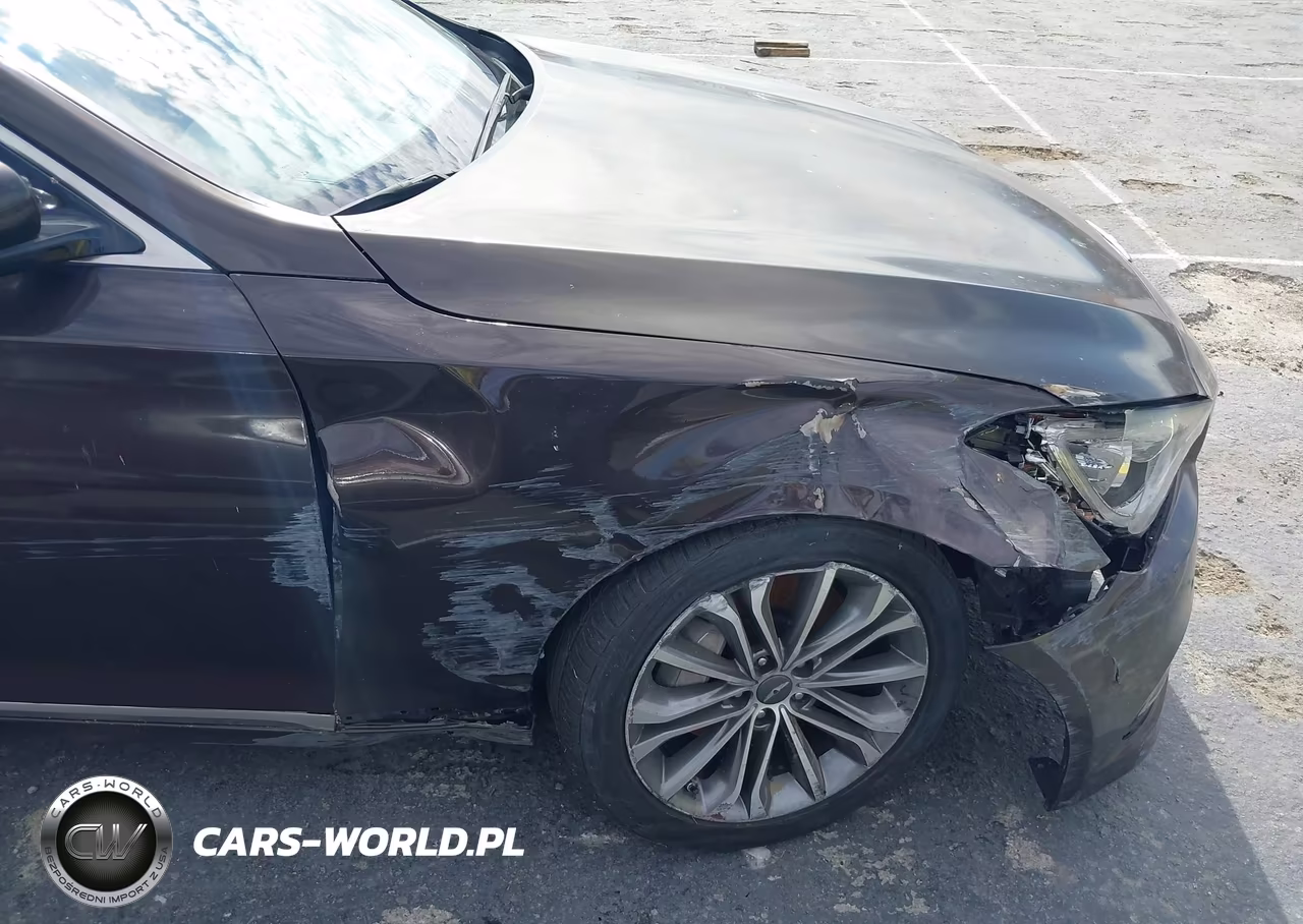 2015 Hyundai Genesis 3.8 VIN:KMHGN4JE0FU047141 - 17