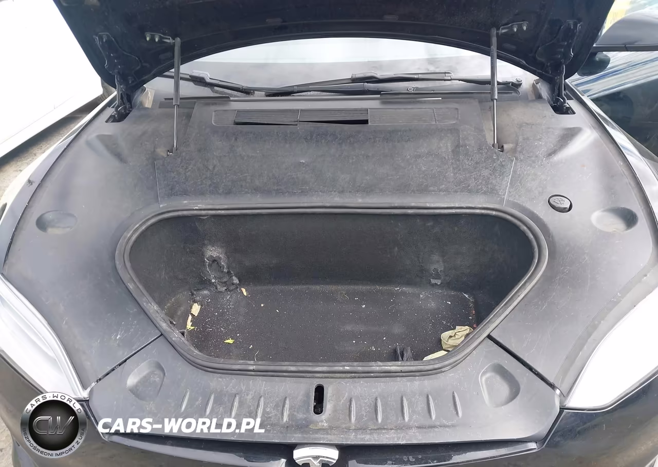 2021 Tesla Model S Long Range Dual Motor All-Wheel Drive VIN:5YJSA1E54MF428239 - 10