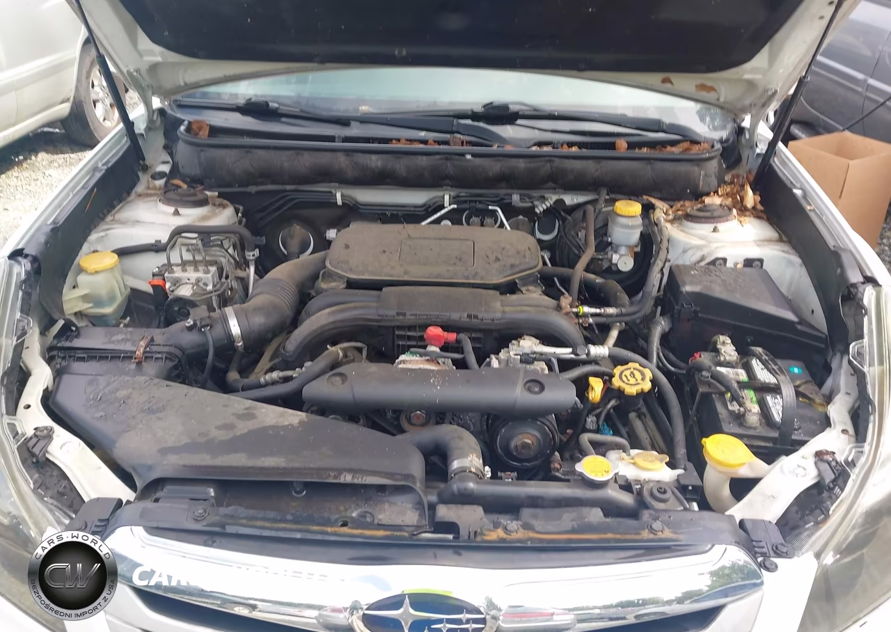 2010 Subaru Outback 2.5I Premium VIN:4S4BRCCC6A3368863 - 10