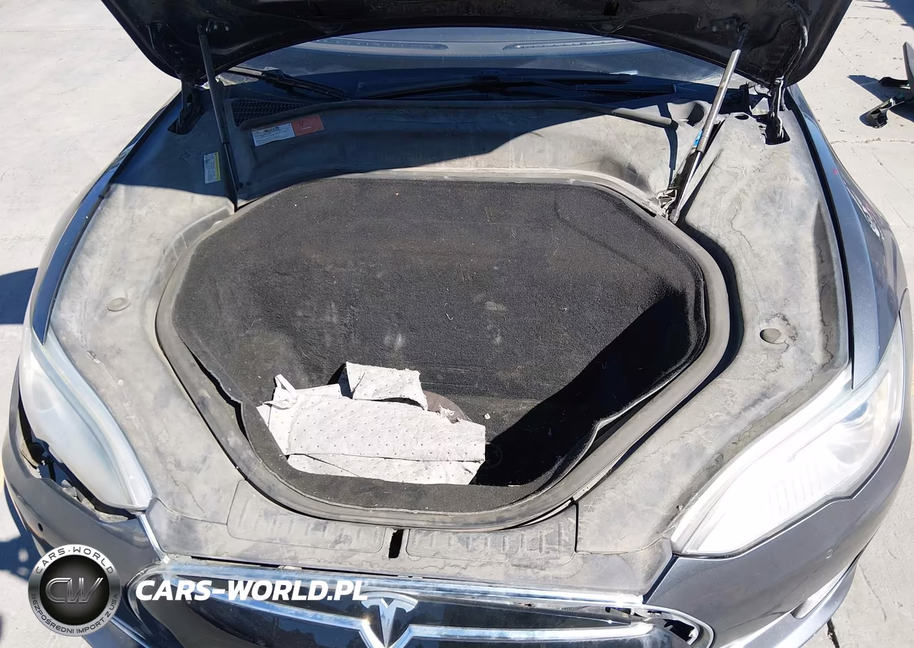 2015 Tesla Model S 85D-P85D VIN:5YJSA1E44FF103892 - 10