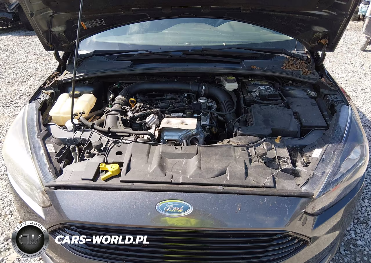 2017 Ford Focus Se VIN:1FADP3FE1HL269500 - 10