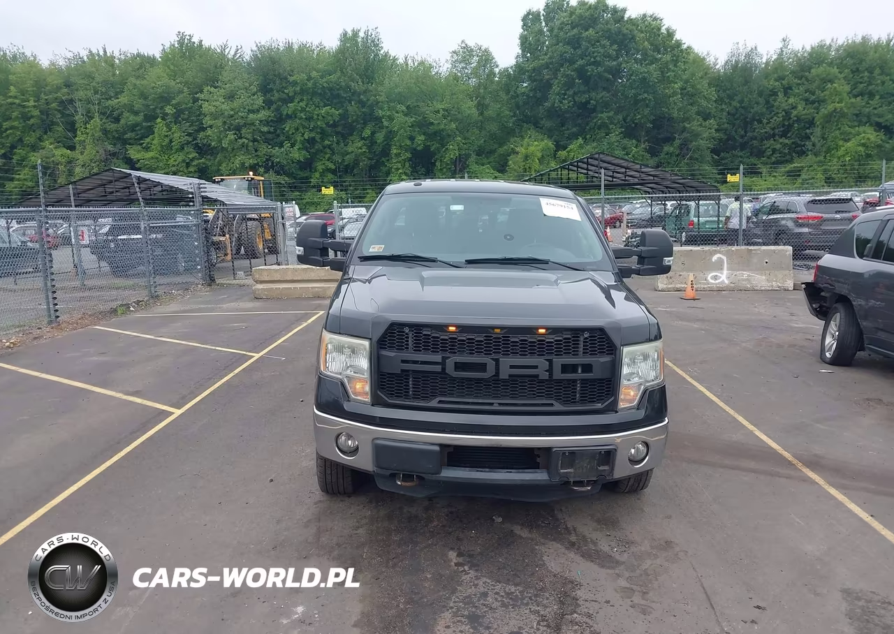 2012 Ford F-150 Xlt VIN:1FTFX1ET2CFA54836 - 12