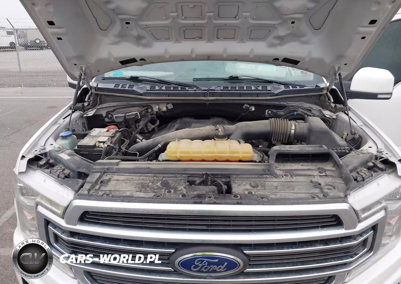 2019 Ford F-150 Limited VIN:1FTEW1EG0KFA14819 - 10