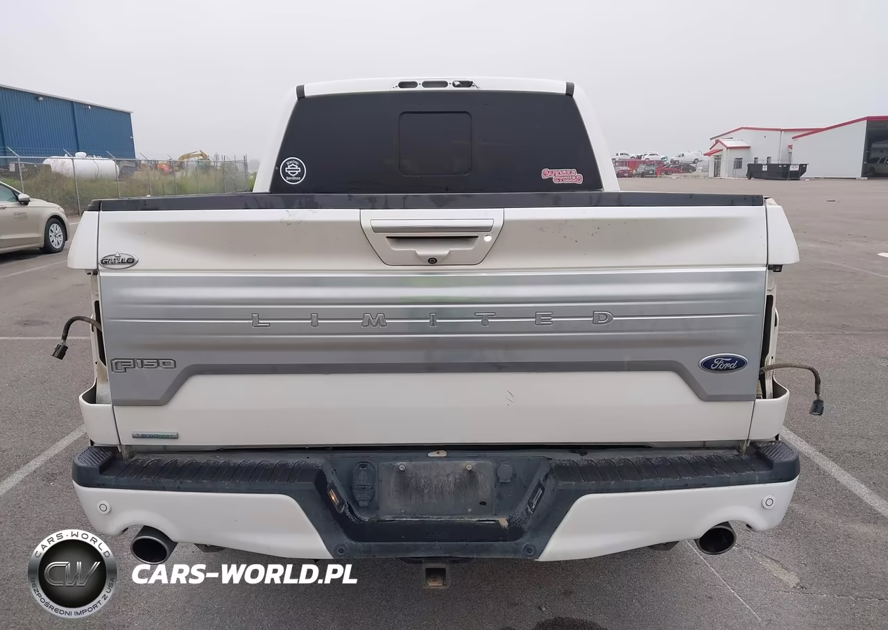 2019 Ford F-150 Limited VIN:1FTEW1EG0KFA14819 - 17