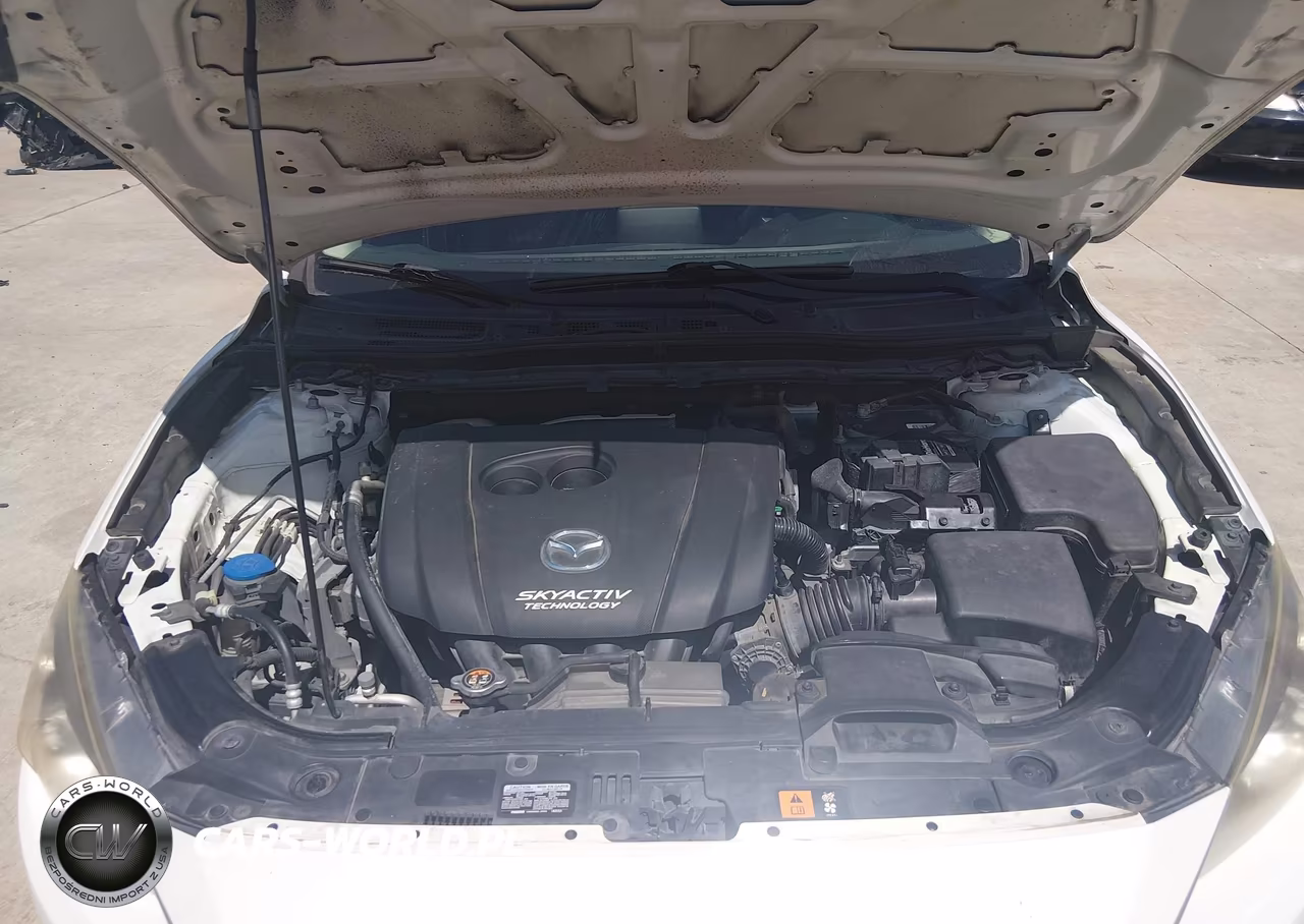 2016 Mazda Mazda3 I Sport VIN:JM1BM1J71G1315456 - 10