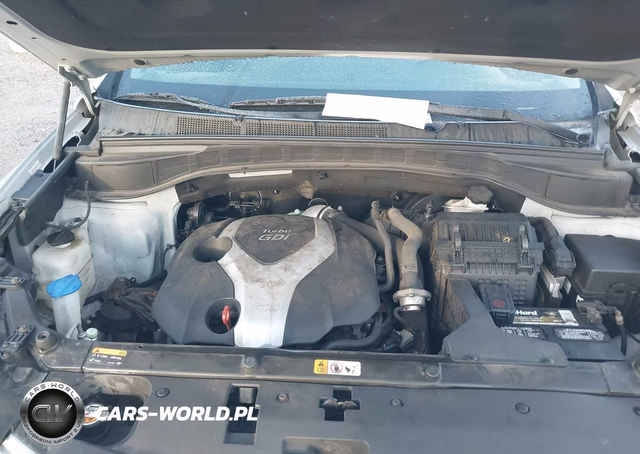 2014 Hyundai Santa Fe Sport 2.0L Turbo VIN:5XYZU3LA3EG160361 - 10