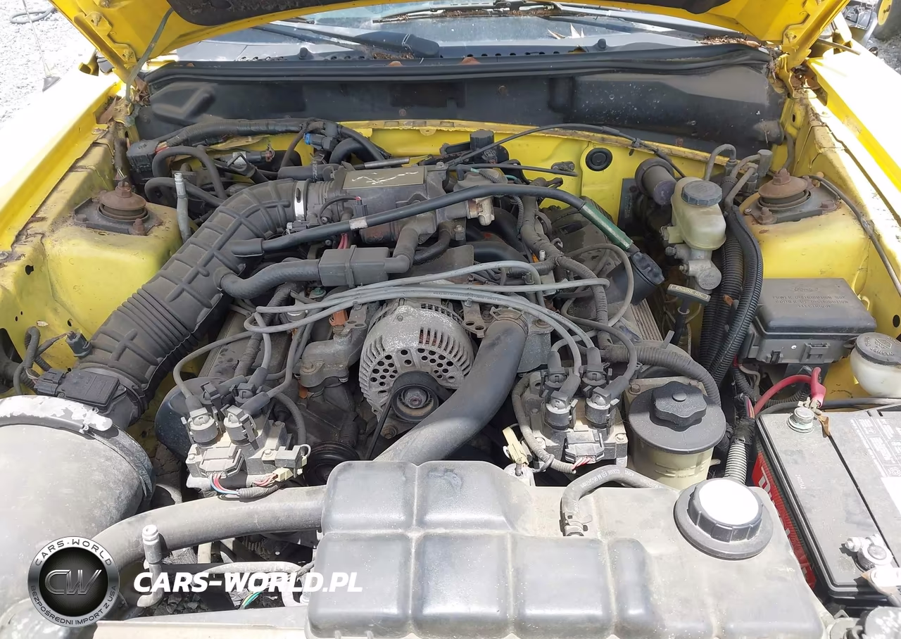 1998 Ford Mustang Gt VIN:1FAFP45X9WF201913 - 10