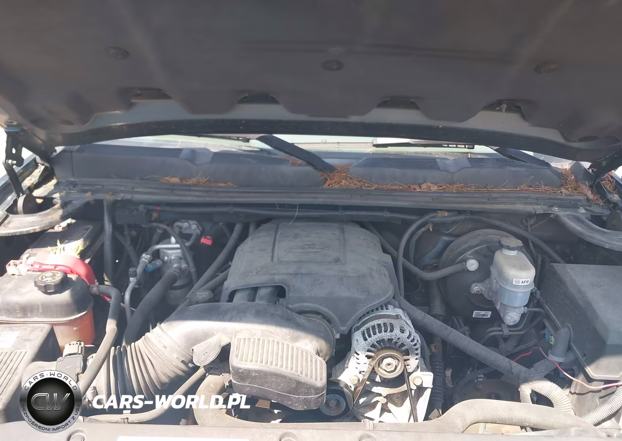 2009 Chevrolet Silverado 1500 Ls VIN:1GCEC19C39Z269800 - 10