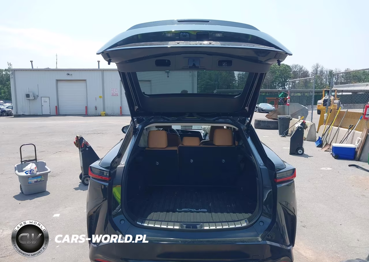 2024 Lexus Rz 450E Premium VIN:JTJAAAAB9RA024955 - 11
