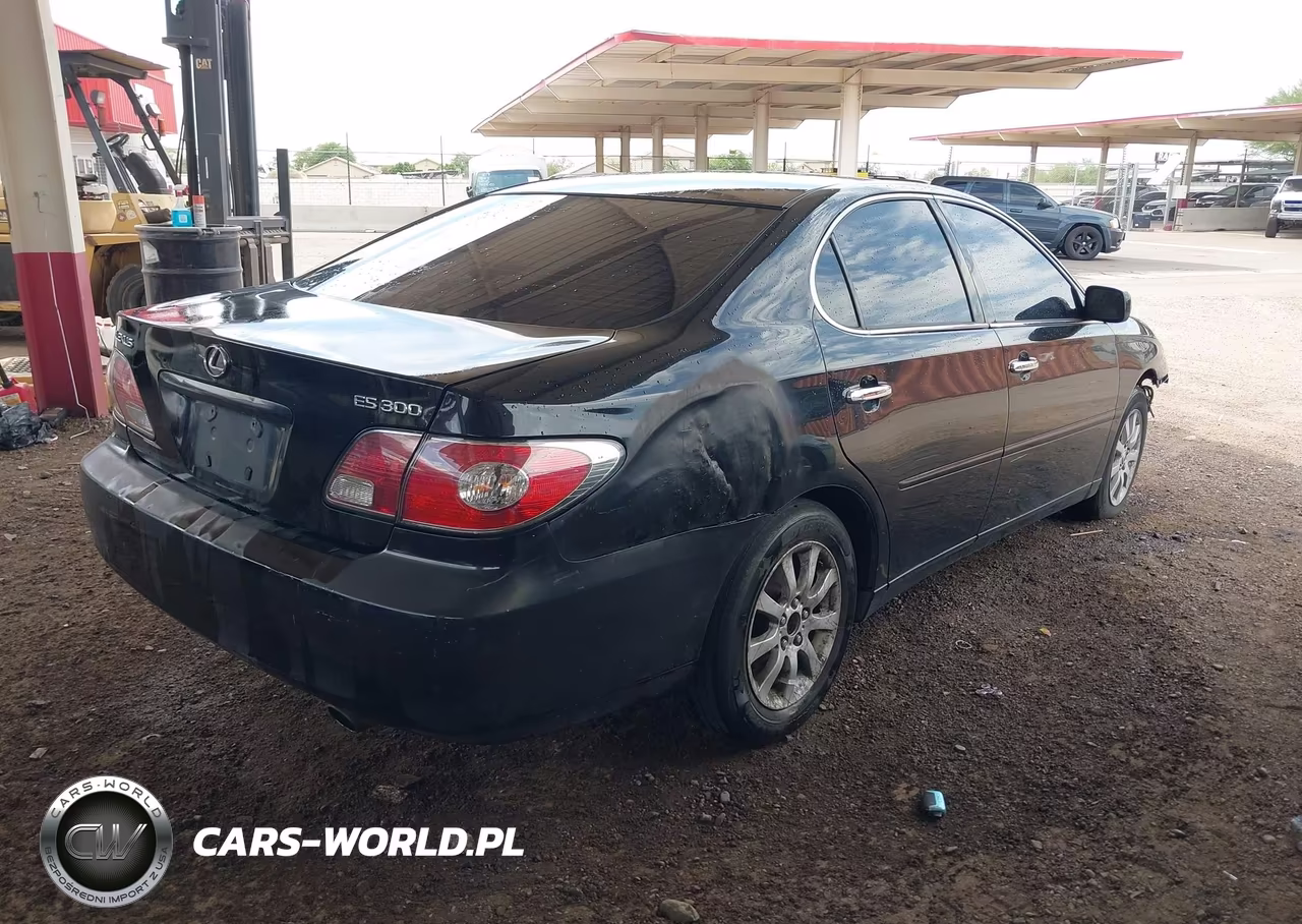 2002 Lexus Es 300 VIN:JTHBF30G220050535 - 4