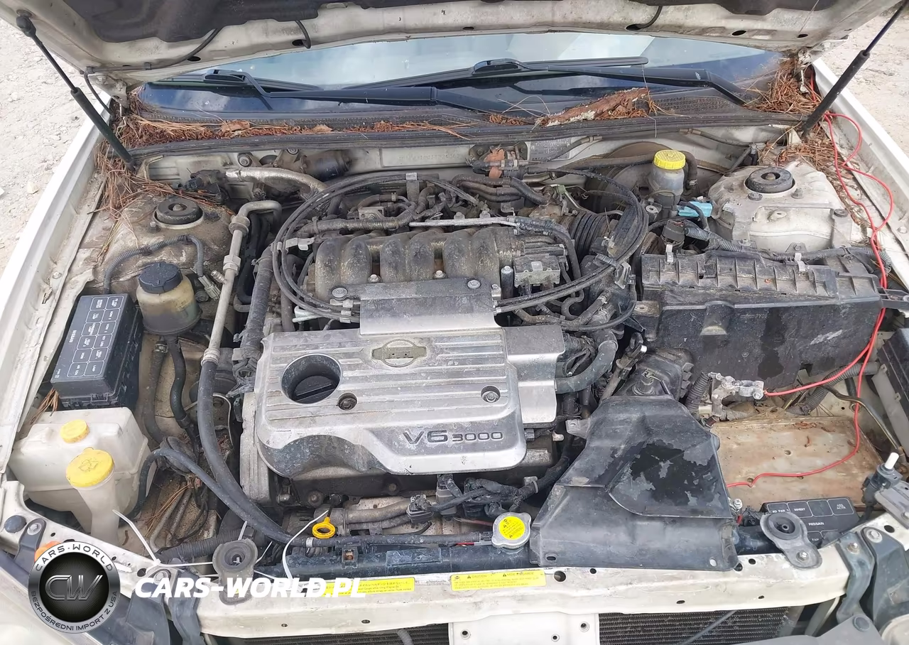 2001 Nissan Maxima Se VIN:JN1CA31D01T824063 - 10