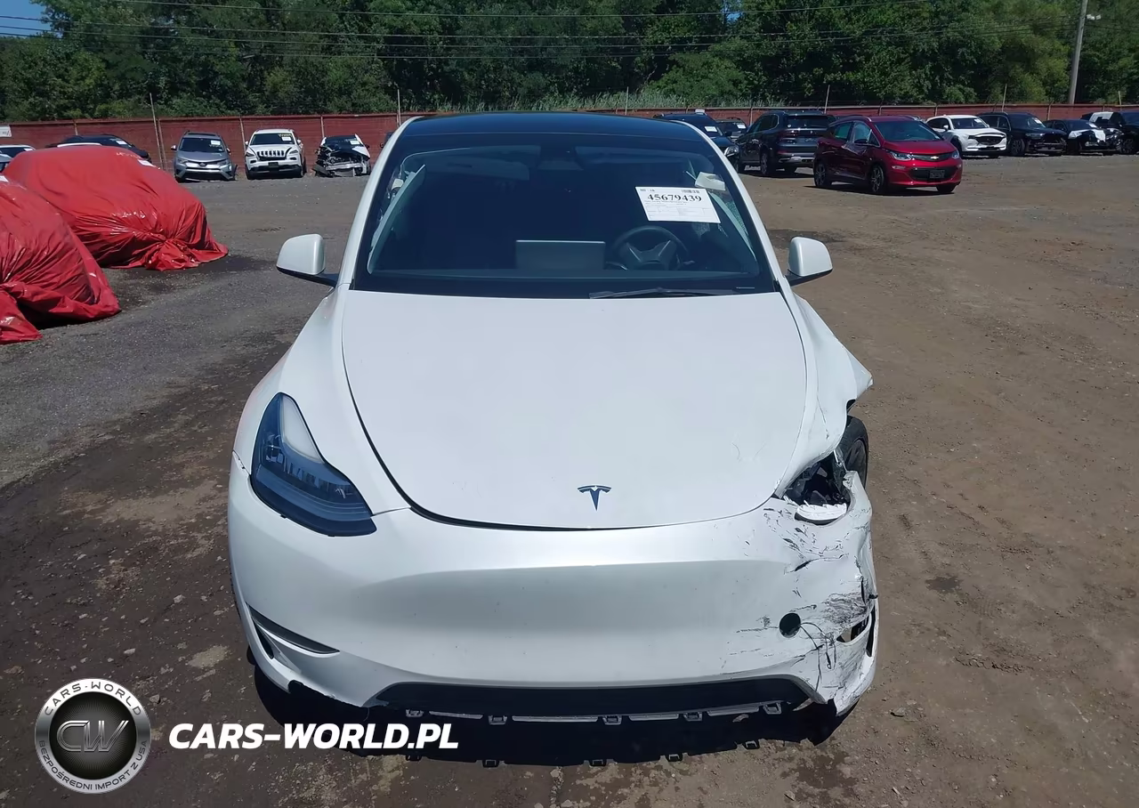 2023 Tesla Model Y Awd-Long Range Dual Motor All-Wheel Drive VIN:7SAYGDEE5PA065500 - 12