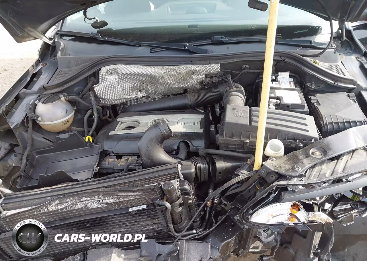 2014 Volkswagen Tiguan Sel VIN:WVGBV3AX9EW562762 - 10