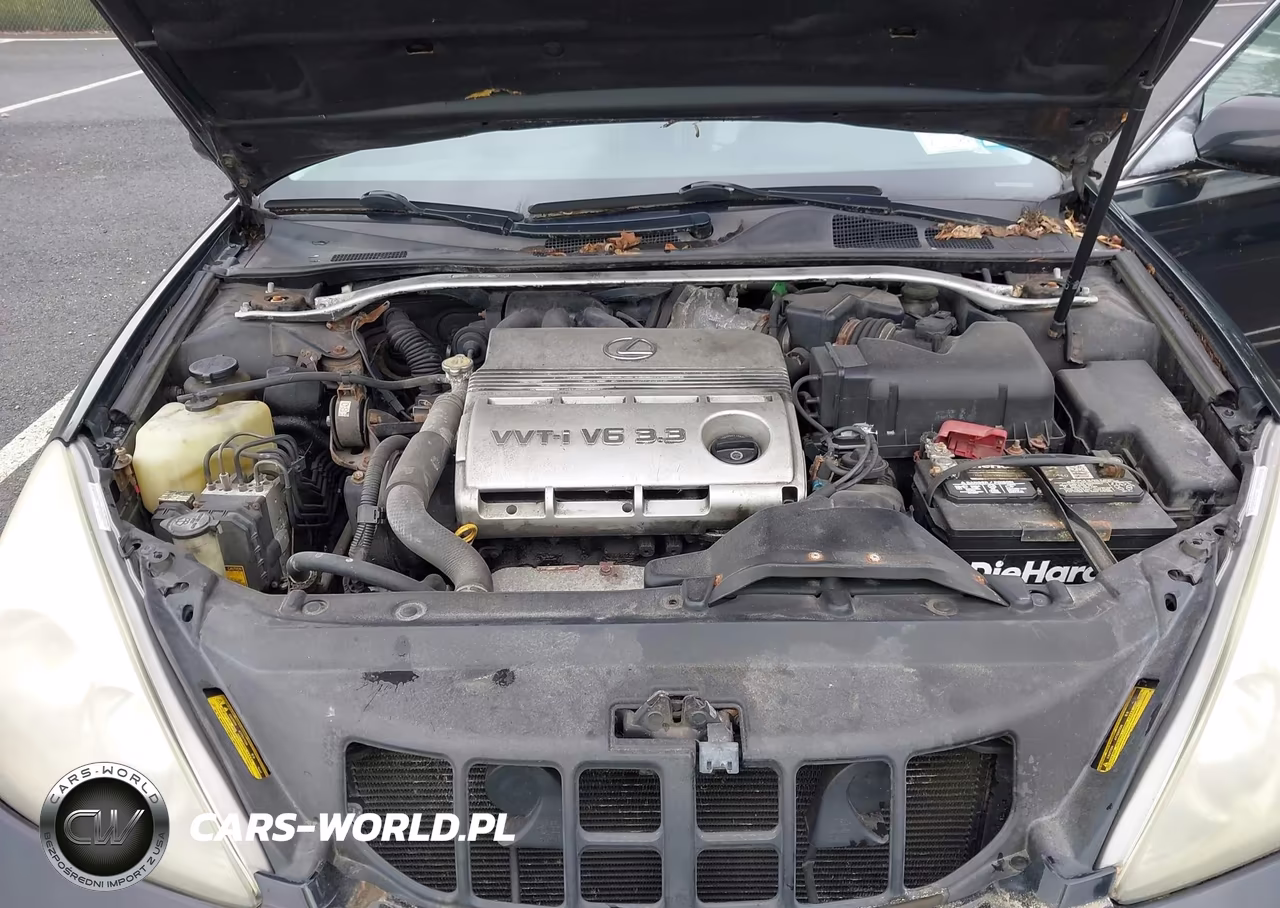 2004 Lexus Es 330 VIN:JTHBA30GX40001763 - 10