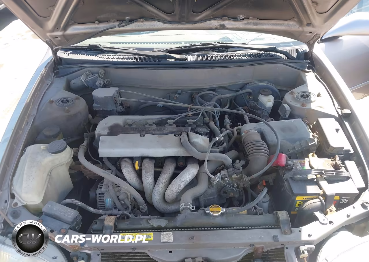 1998 Toyota Corolla Ve-Ce-Le VIN:2T1BR18E1WC082226 - 10