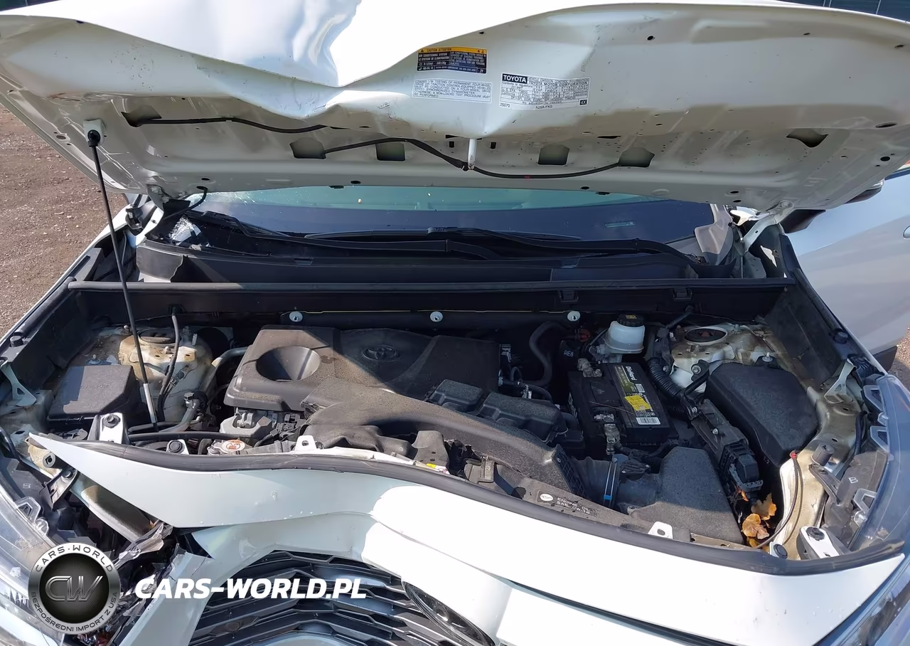 2019 Toyota Rav4 Limited VIN:JTMN1RFV2KD002953 - 10