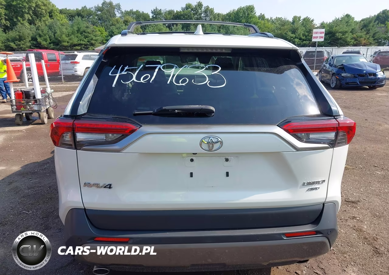 2019 Toyota Rav4 Limited VIN:JTMN1RFV2KD002953 - 17