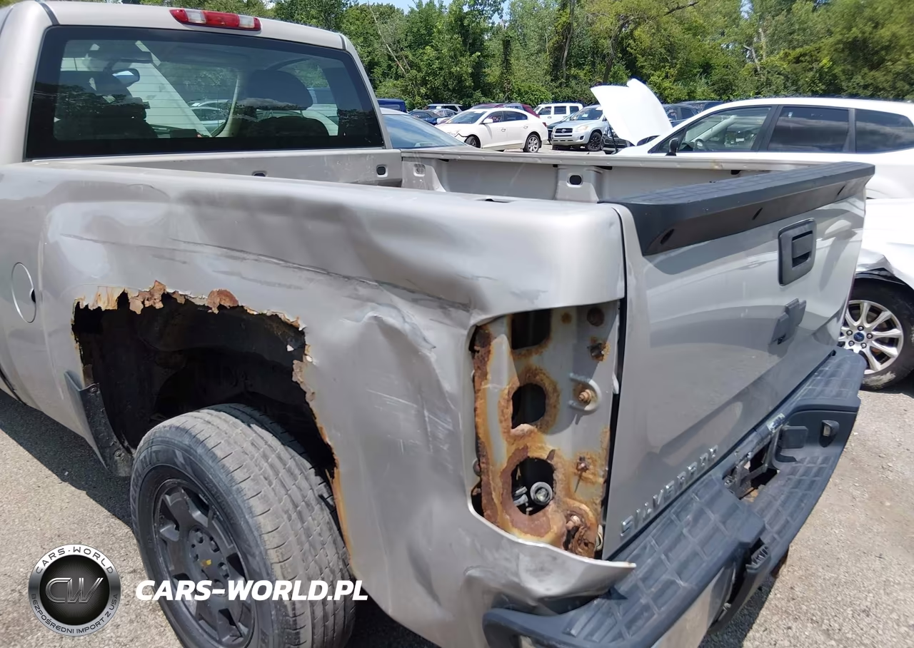 2008 Chevrolet Silverado 1500 Work Truck VIN:1GCEC14XX8Z233398 - 6